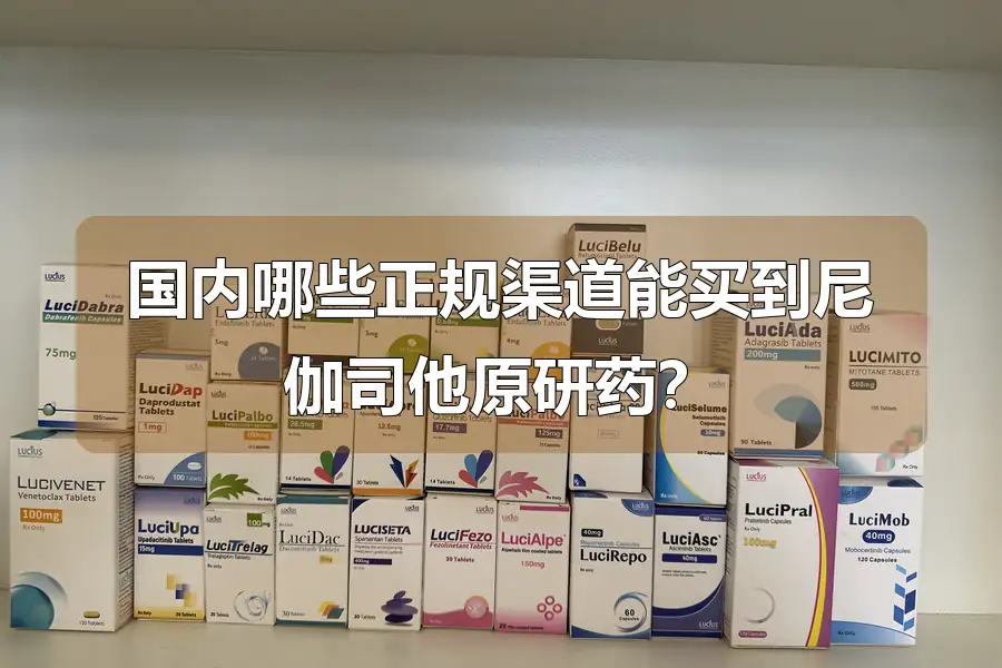 国内哪些正规渠道能买到尼伽司他原研药？